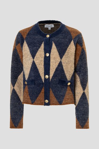 Productfoto 1 van Bruine cardigan met ruitjesmotief door More & More voor Dames