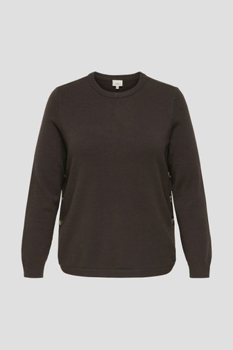 Voorkant van Bruine trui met knopen door ONLY Carmakoma voor Dames