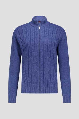 Le devant de Cardigan bleu à motif torsadé de Dansaert Blue pour Hommes