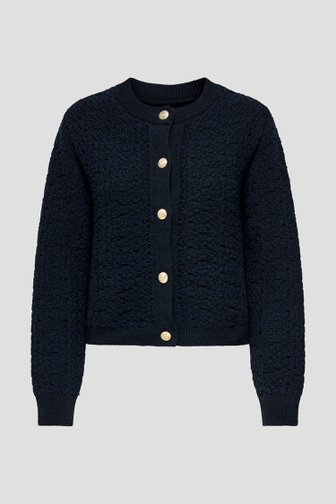 Photo produit 1 de Cardigan bleu avec boutons dorés de JDY pour Femmes