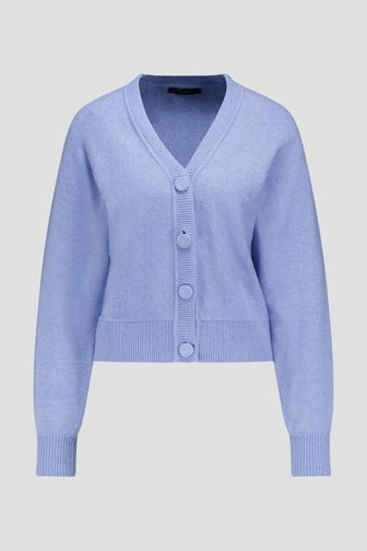 Photo produit 1 de Cardigan bleu clair de Claude Arielle pour Femmes