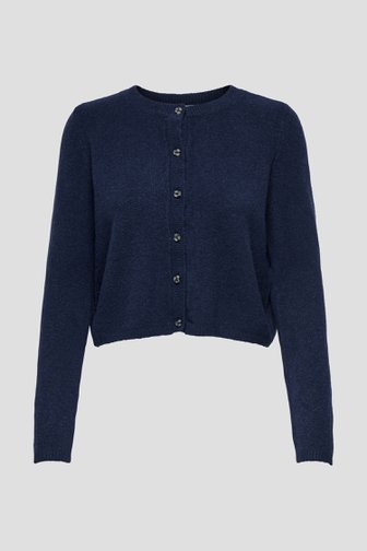 Photo produit 1 de Cardigan bleu foncé avec boutons de JDY pour Femmes