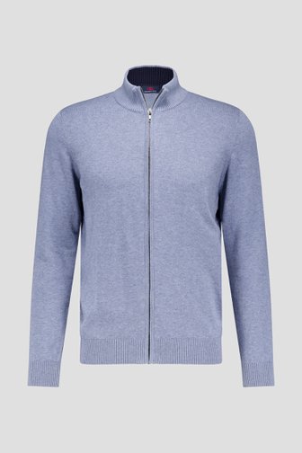 Le devant de Cardigan bleu gris avec fermeture éclair de Dansaert Blue pour Hommes