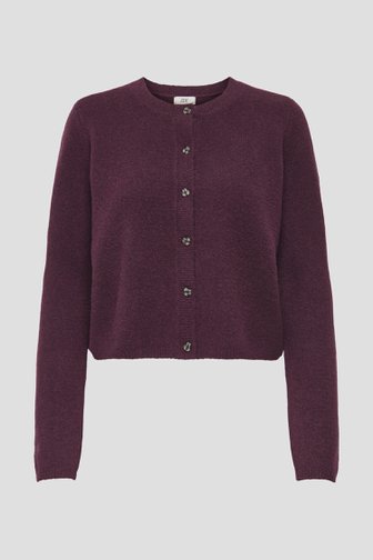 Photo produit 1 de Cardigan bordeaux à manches longues de JDY pour Femmes