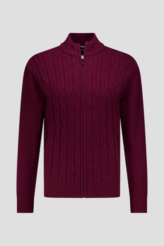 Le devant de Cardigan bordeaux à motif torsadé de Dansaert Blue pour Hommes