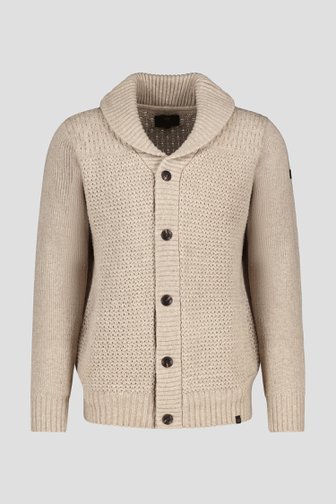 Cardigan en tricot beige avec laine de Ravøtt pour Hommes