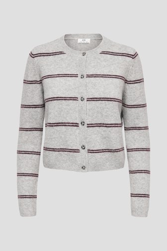 Photo produit 1 de Cardigan gris à rayures bordeaux de JDY pour Femmes