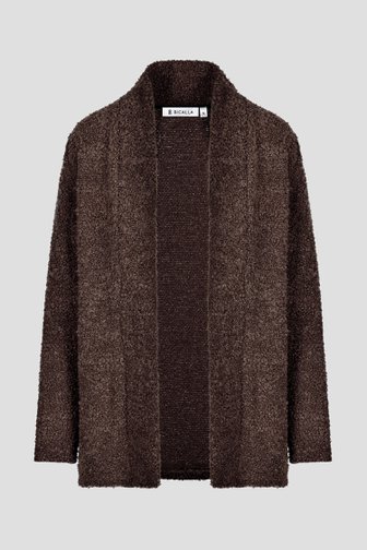 Cardigan marron  de Bicalla pour Femmes