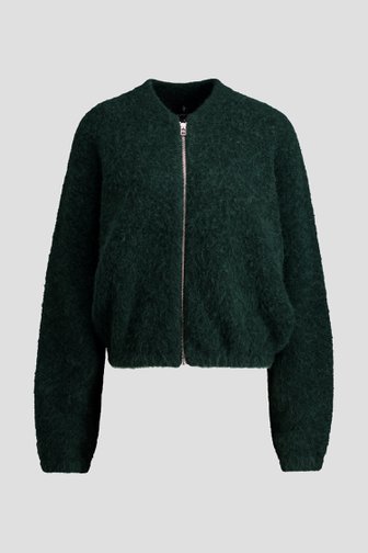 Le devant de Cardigan vert foncé avec fermeture éclair de AC by Annelien Coorevits pour Femmes