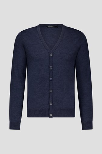 Donkerblauwe cardigan met grote knopen van Dansaert Black voor Heren