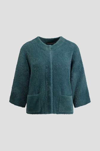 Voorkant van Donkergroene cardigan met lange mouwen door Claude Arielle voor Dames