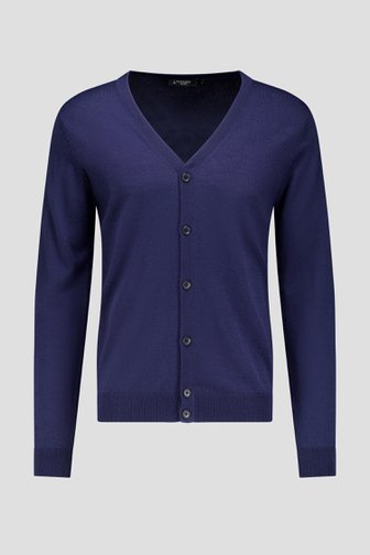 Voorkant van Fijn gebreide blauwe cardigan door Dansaert Black voor Heren
