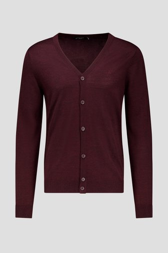 Voorkant van Fijn gebreide bordeaux cardigan door Dansaert Black voor Heren