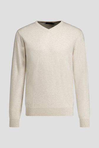 Voorkant van Fijne beige trui met V-hals door Dansaert Blue voor Heren
