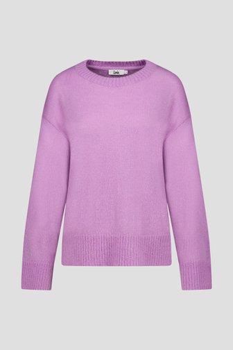 Fijne roze trui met wol van Louise voor Dames