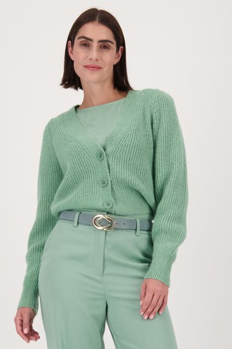 D'Auvry Gebreide cardigan - lichtgroen