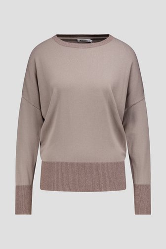 Productfoto 1 van Grijs-bruine trui met glitterboorden door D'Auvry voor Dames