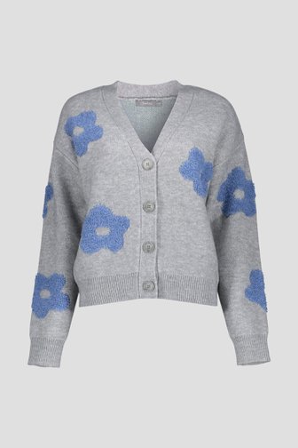 Voorkant van Grijze cardigan met blauwe bloemen door Geisha voor Dames