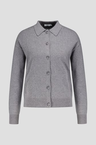 Productfoto 1 van Grijze cardigan met polokraag door Liberty Island voor Dames
