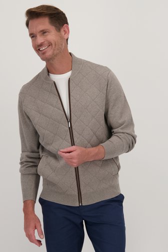 Dansaert Blue Grijze cardigan met rits