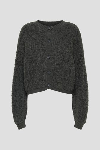 Productfoto 1 van Grijze teddy cardigan door JDY voor Dames
