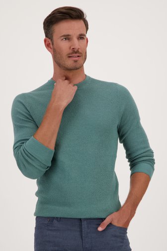 Groene fijngebreide trui van Michaelis voor Heren