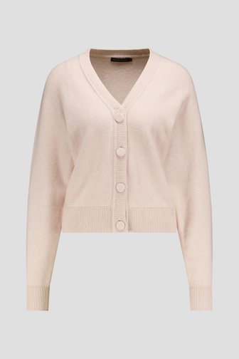 Voorkant van Lichtbeige cardigan door Claude Arielle voor Dames