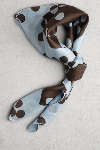 D'Auvry Lichtblauw sjaaltje met bruine stippenprint