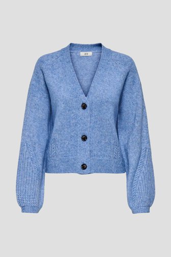Productfoto 1 van Lichtblauwe cardigan  door JDY voor Dames