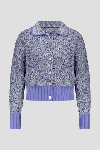 Lichtblauwe gebreide cardigan van Louise voor Dames
