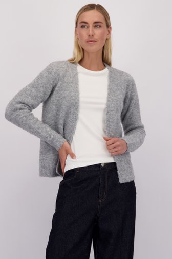 Voorkant van Lichtgrijze gemêleerde cardigan door Liberty Island voor Dames
