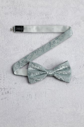 Voorkant van Lichtgroene strik met paisleyprint door Liberty Island voor Heren