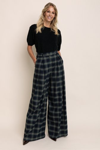 Voorkant van Multicolor bandplooibroek met wijde pijpen door AC by Annelien Coorevits voor Dames