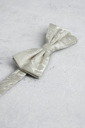 Le devant de Nœud papillon beige à motif cachemire de Liberty Island pour Hommes