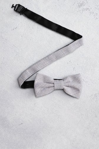 Le devant de Nœud papillon bleu-gris de Liberty Island pour Hommes