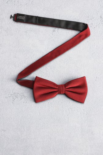 Le devant de Nœud papillon bordeaux de Liberty Island pour Hommes