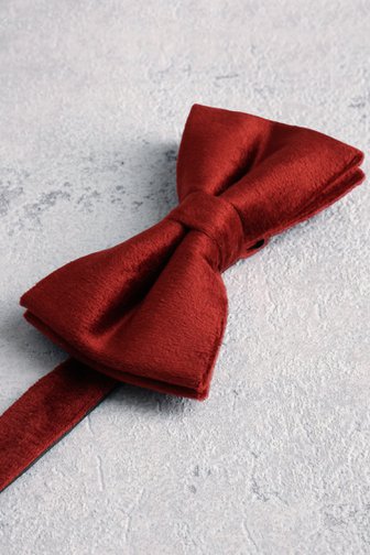 Le devant de Nœud papillon bordeaux de Liberty Island pour Hommes