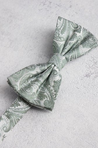 Le devant de Nœud papillon vert clair à motif cachemire de Liberty Island pour Hommes