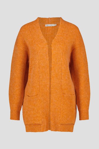 Oranje cardigan van D'Auvry voor Dames
