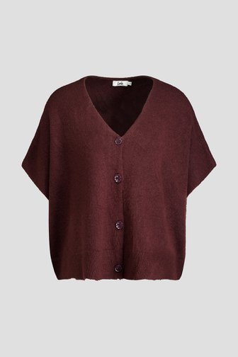 Extra foto 5 van Oversized bordeauxbruine cardigan door Louise voor Dames