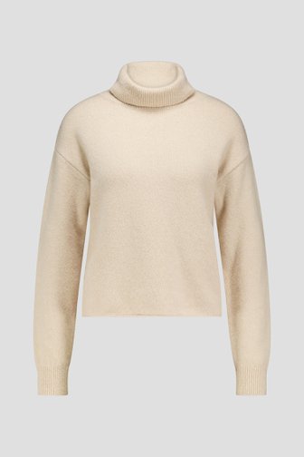 Le devant de Pull beige à col roulé de Louise pour Femmes