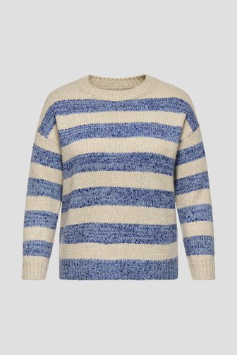 Photo produit 1 de Pull beige et bleu à paillettes de ONLY Carmakoma pour Femmes