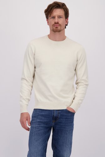 Le devant de Pull beige fin en coton de Bluefields pour Hommes