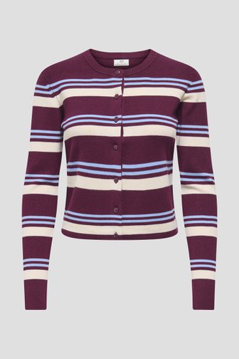 Photo produit 1 de Pull bordeaux à rayures avec boutons de JDY pour Femmes