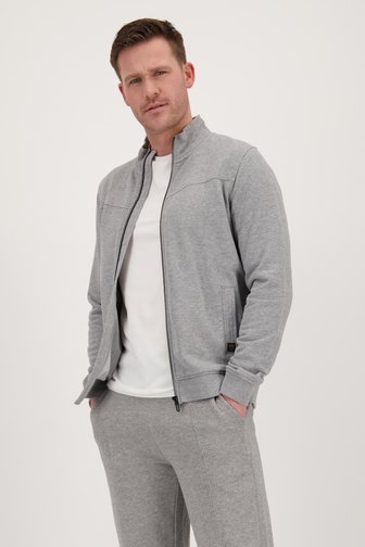 Pull zippé gris clair	 de Liberty Island pour Hommes