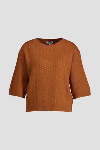 Productfoto 1 van Roestbruin truitje met korte mouwen door More & More voor Dames