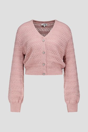 Voorkant van Roze cardigan met strassknopen door More & More voor Dames