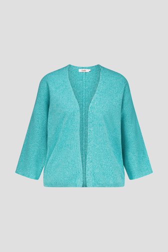Turquoise cardigan van Libelle voor Dames