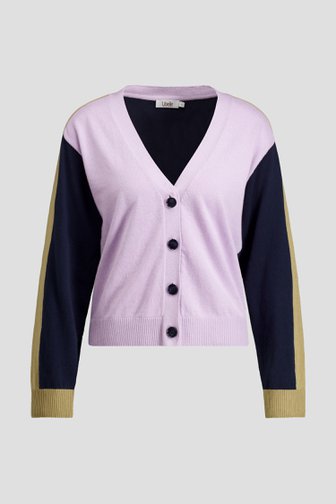 Voorkant van Veelkleurige cardigan met V-hals door Libelle voor Dames