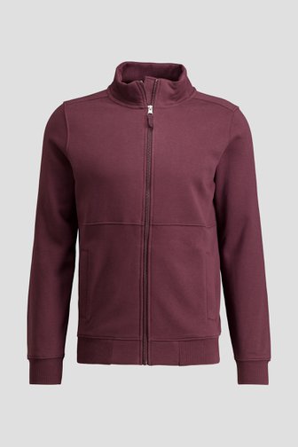 Le devant de Veste bordeaux zippée de Liberty Island pour Hommes